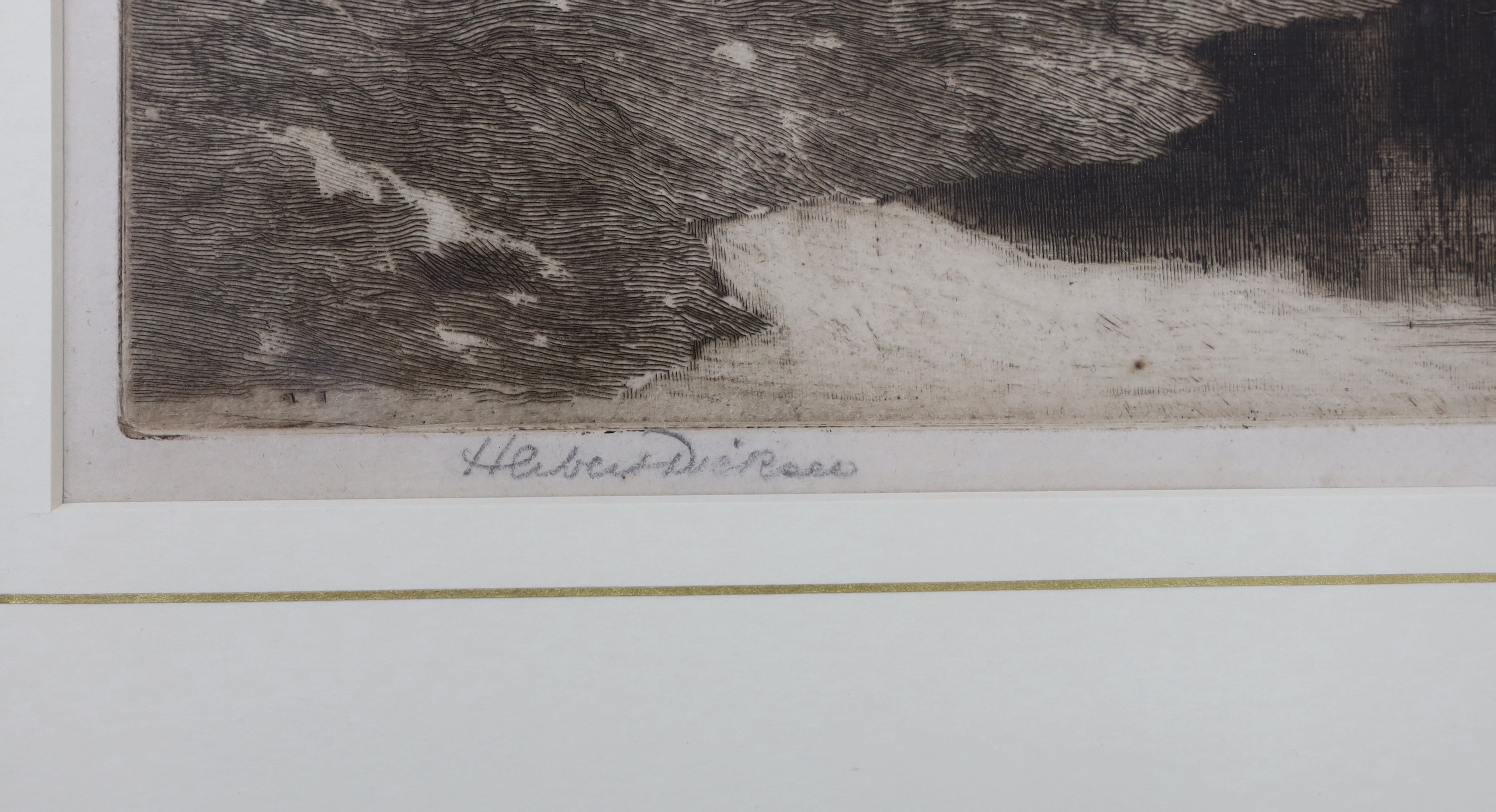 Herbert Dicksee (1862-1942), etching, Lion Drinking, signed in pencil, publ. 1890, 19 x 26cm